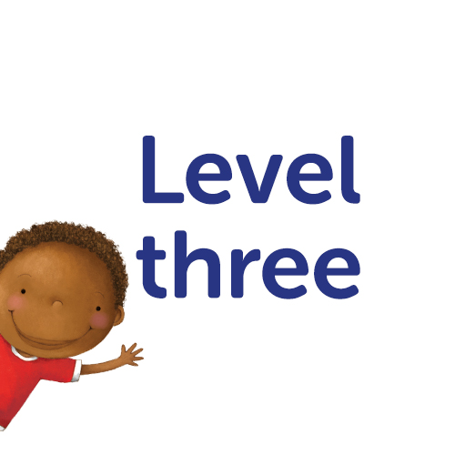 Level 3