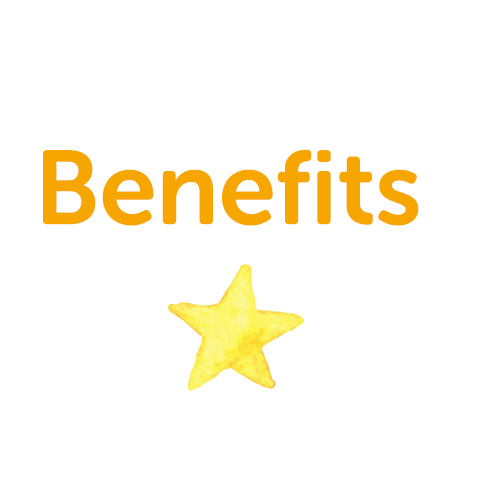 What we can offer you: